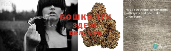 PSILOCYBIN Верхний Тагил