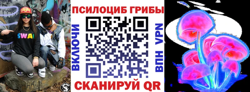 где купить наркоту  Верея  Галлюциногенные грибы Cubensis 